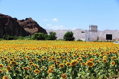 小岛工作室在《死亡搁浅2》和《OD》之后进入第二阶段